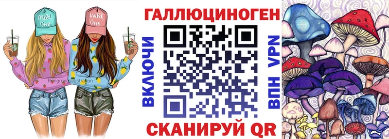 МЕГА ССЫЛКА  Новочебоксарск  Галлюциногенные грибы Psilocybine cubensis  где продают  